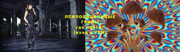 mix Белокуриха