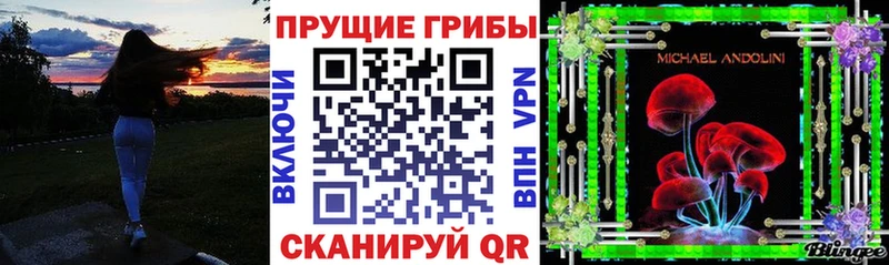 где продают наркотики  Дальнегорск  Галлюциногенные грибы Psilocybe 