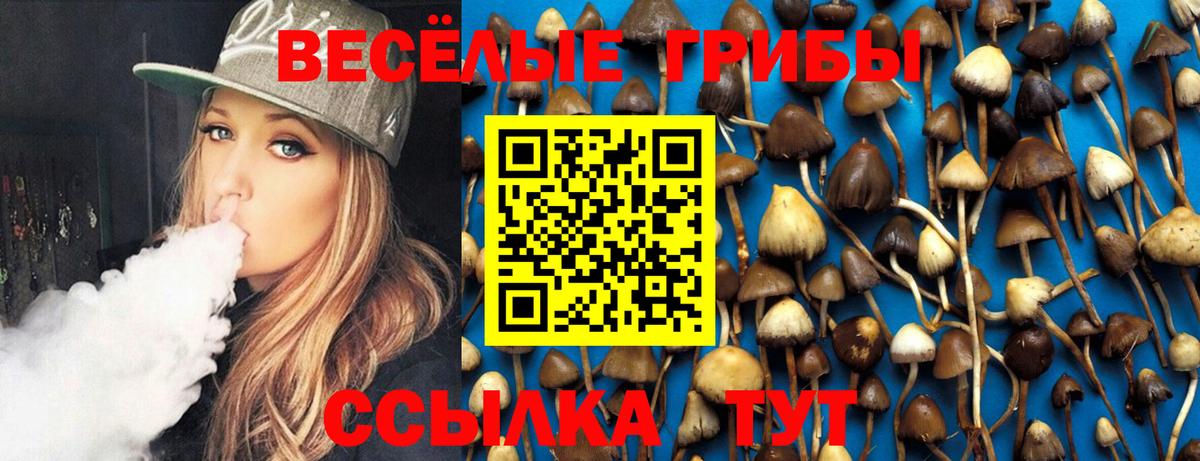 Галлюциногенные грибы MAGIC MUSHROOMS Дальнегорск